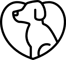 宠物健康