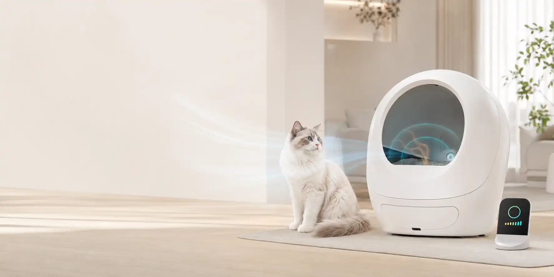 Cat Litter Odor Removal